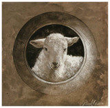 The Sheep