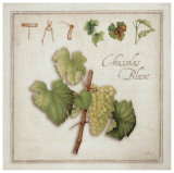 Buy Raisins Blancs at AllPosters.com