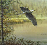 Buy Fluttering Wings at AllPosters.com