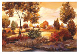 Buy Landscape at AllPosters.com