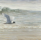 Buy Au Fil de l'Eau I at AllPosters.com