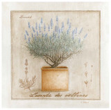 Buy Lavande des Collines at AllPosters.com