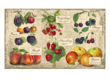 Gourmet Fruit