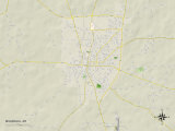 Buy Political Map of Magnolia, AR at AllPosters.com