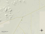 Buy Political Map of Three Points, AZ at AllPosters.com