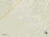 Buy Political Map of Malvern, AR at AllPosters.com