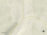 Buy Political Map of Winlock, WA at AllPosters.com