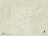 Buy Political Map of Rison, AR at AllPosters.com
