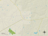 Buy Political Map of Webb, AL at AllPosters.com