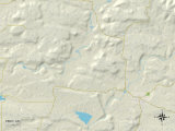 Buy Political Map of Piney, AR at AllPosters.com