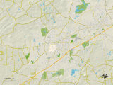 Buy Political Map of Auburn, AL at AllPosters.com