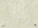 Buy Political Map of Stephens, AR at AllPosters.com