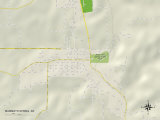 Buy Political Map of Mammoth Spring, AR at AllPosters.com