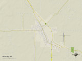 Buy Political Map of McGehee, AR at AllPosters.com