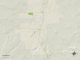 Buy Political Map of Taylor, AZ at AllPosters.com