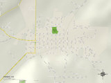 Buy Political Map of Paonia, CO at AllPosters.com