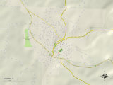Political Map of Galena, IL