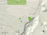 Buy Political Map of White Rock, NM at AllPosters.com