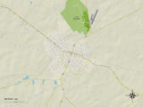 Political Map of McRae, GA