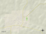 Buy Political Map of Winona, MO at AllPosters.com