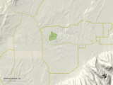 Buy Political Map of Spring Creek, NV at AllPosters.com
