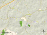 Buy Political Map of North Druid Hills, GA at AllPosters.com