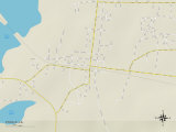 Buy Political Map of Zwolle, LA at AllPosters.com
