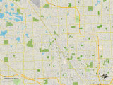 Buy Political Map of Birmingham, MI at AllPosters.com