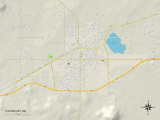 Buy Political Map of Tucumcari, NM at AllPosters.com
