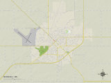 Buy Political Map of Marshall, MN at AllPosters.com