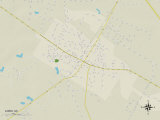 Political Map of Loris, SC