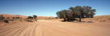 Buy Tire Tracks in an Arid Landscape, Sossusvlei, Namib Desert, Namibia at AllPosters.com