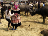 Flower Hmong Woman with Daughter Looking at Livestock at Bac Ha Sunday Market, Vietnam