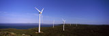 Buy Wind Turbines at the Seaside, Albany Wind Farm, Sandy Point, Albany, Western Australia, Australia at AllPosters.com
