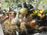 Buy Close-Up of Assorted Root Vegetables and Heirloom Tomatoes on a Tray, Organic Farm, Ashland, Oregon at AllPosters.com