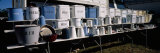 Bread Boxes in a Row, Brimfield, Hampden County, Massachusetts, USA Photographic Print