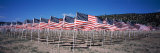 American Flags Laid Out in a Field, Questa, Taos County, New Mexico, USA