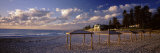 Sunshades on the Beach, Indiana Tea House, Cottesloe Beach, Perth, Western Australia, Australia
