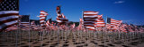 American Flags Laid Out in a Field, Questa, Taos County, New Mexico, USA
