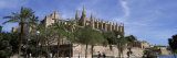 Trees in Front of a Cathedral, La Seu, Palma, Majorca, Balearic Islands, Spain