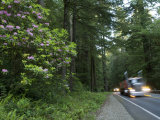 Buy Vehicle on a Highway, Us Route 199, Del Norte County, California, USA at AllPosters.com