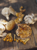 Buy Close-Up of Assorted Mushrooms on a Table, Oregon at AllPosters.com