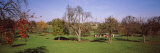 Apple Trees in an Orchard During Harvest, Baden-Wurttemberg, Germany