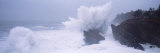 Buy Waves Breaking on the Coast, Shore Acres State Park, Oregon, USA at AllPosters.com