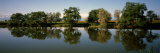 Reflection of Trees in Water with Poppies in the Background, Bishkek, Kyrgyzstan