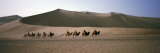 Tourists Riding Camels in a Desert, Dunhuang, Jiuquan, Gansu Province, China
