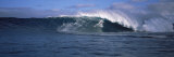 Surfer in the Sea, Maui, Hawaii, USA