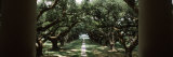 Oak Trees in Front of a Mansion, Oak Alley Plantation, Vacherie, Louisiana, USA