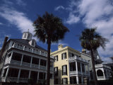 Palm Trees in Front of Buildings, Charleston, Charleston County, South Carolina, USA