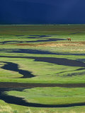 Steppeland, A Lone Horse Herder Out on the Steppeland, Mongolia